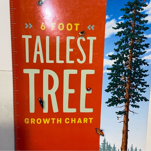 2004 Golden Gate National Parks Conservancy Tallest Tree 6 Foot Growth Chart - Picture 8 of 16